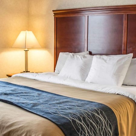 Comfort Inn & Suites Kent - University Area Esterno foto
