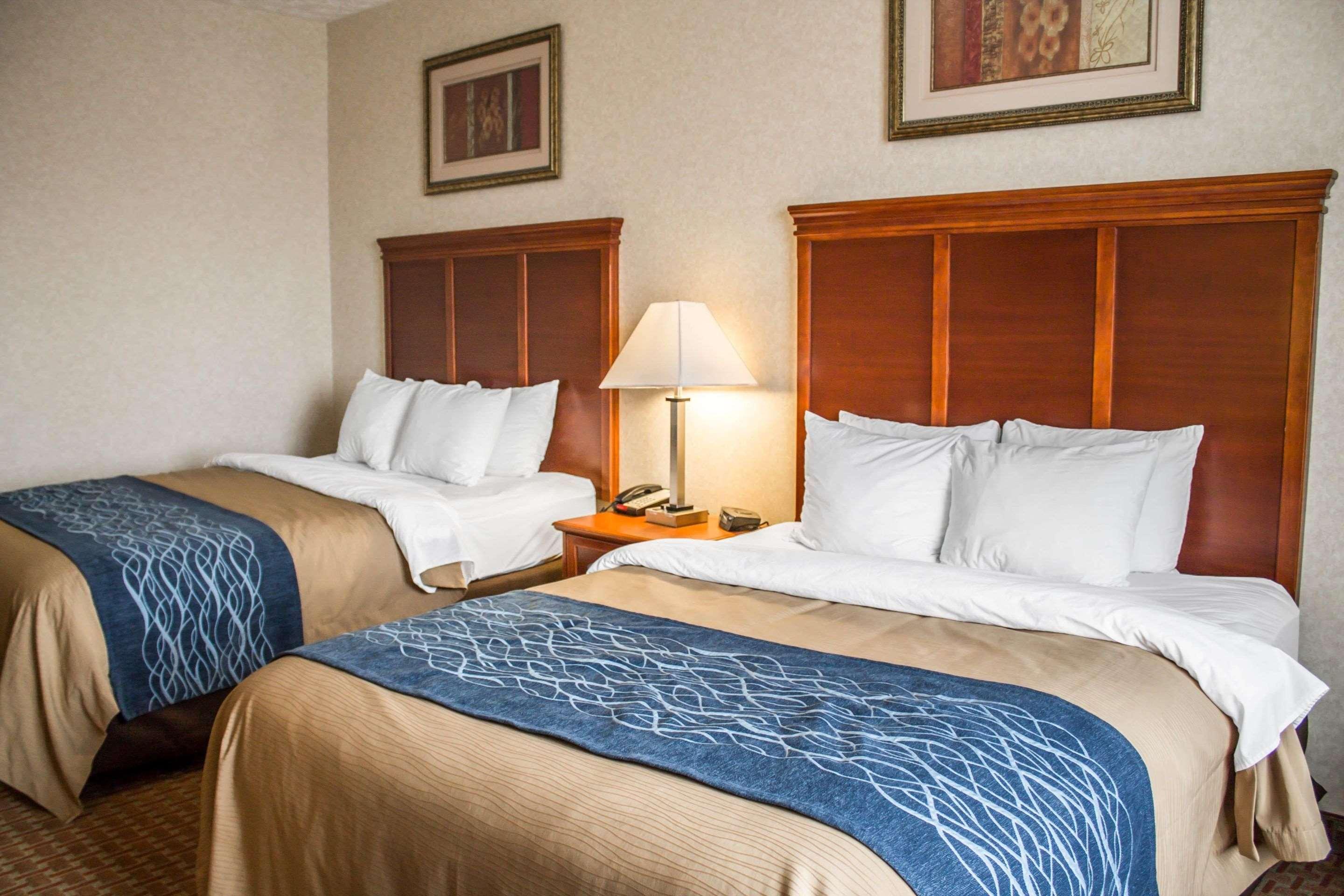 Comfort Inn & Suites Kent - University Area Esterno foto